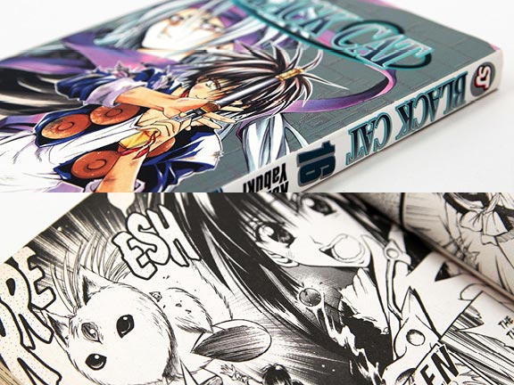 Japanese Anime Manga Graphic Novel Design Based on Industry Standards